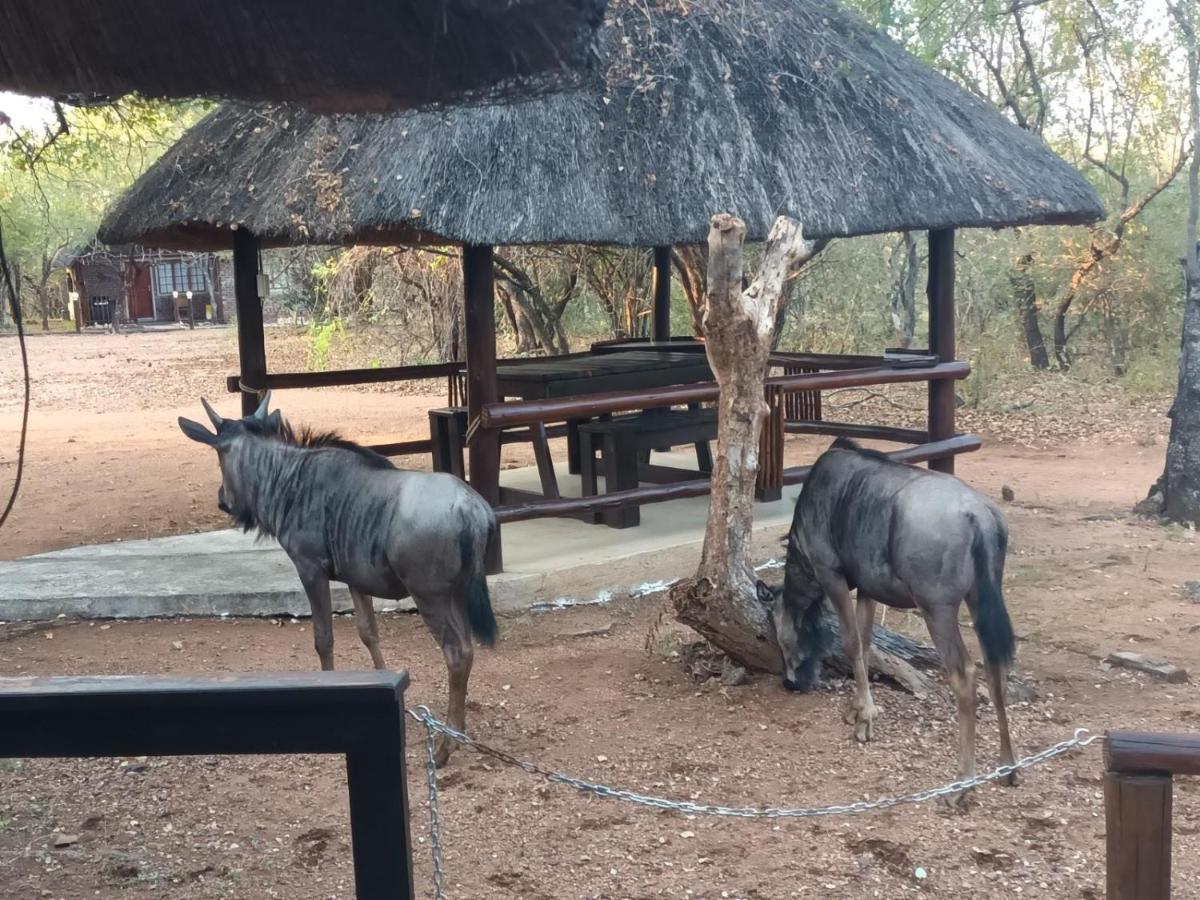 South Safari Lodge Marloth Park Dış mekan fotoğraf