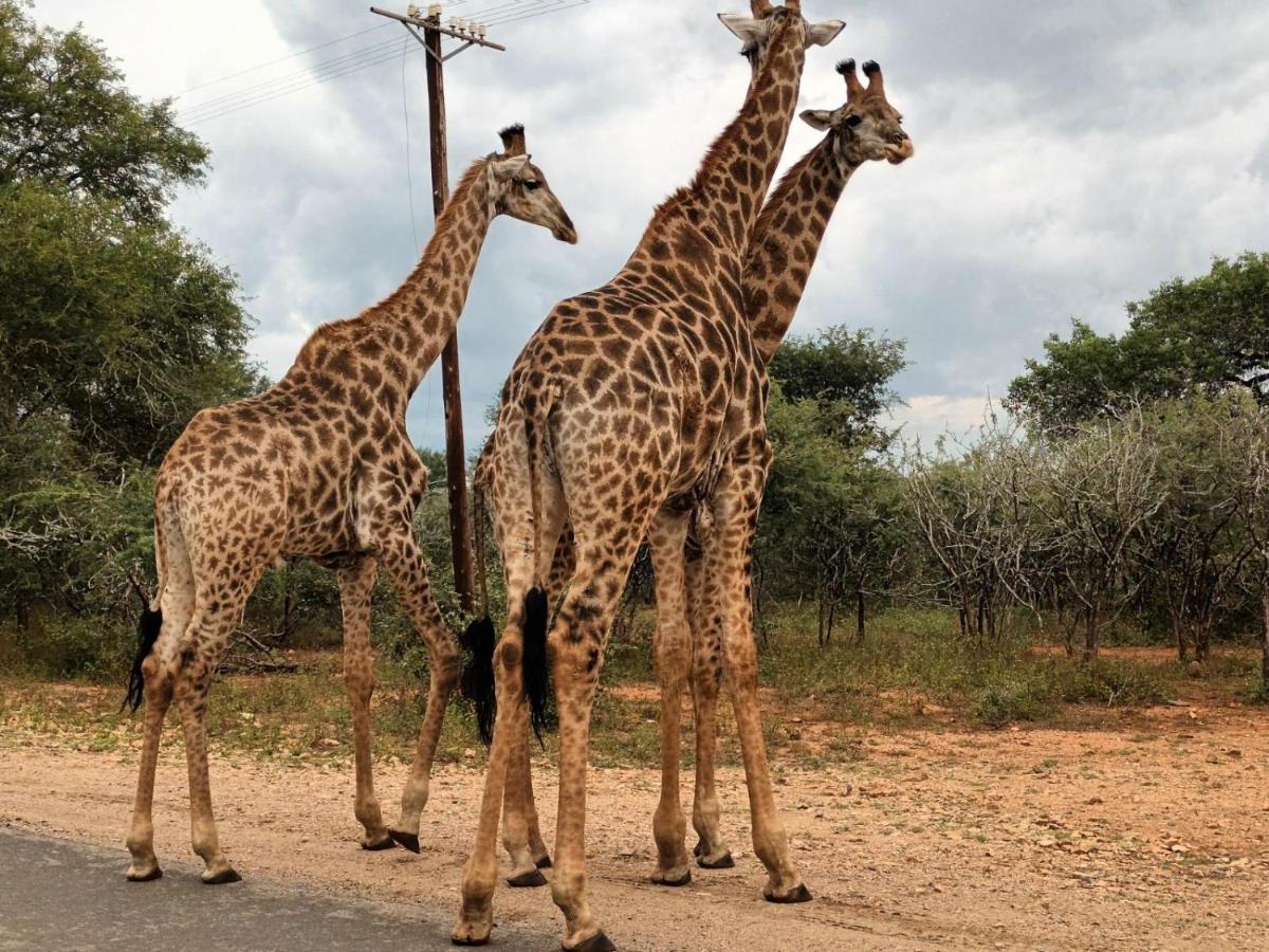 South Safari Lodge Marloth Park Dış mekan fotoğraf