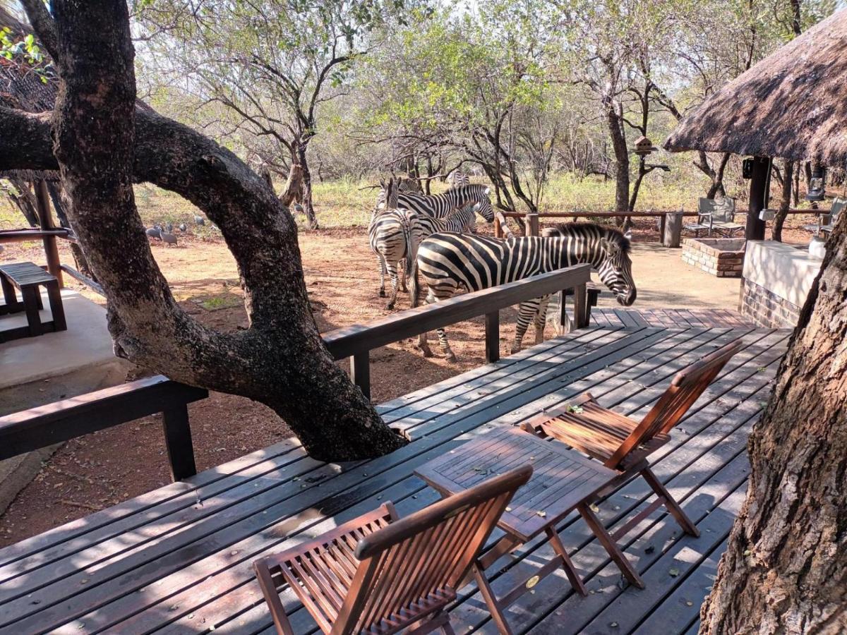 South Safari Lodge Marloth Park Dış mekan fotoğraf